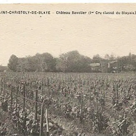 Chateau Bavolier Apartmán